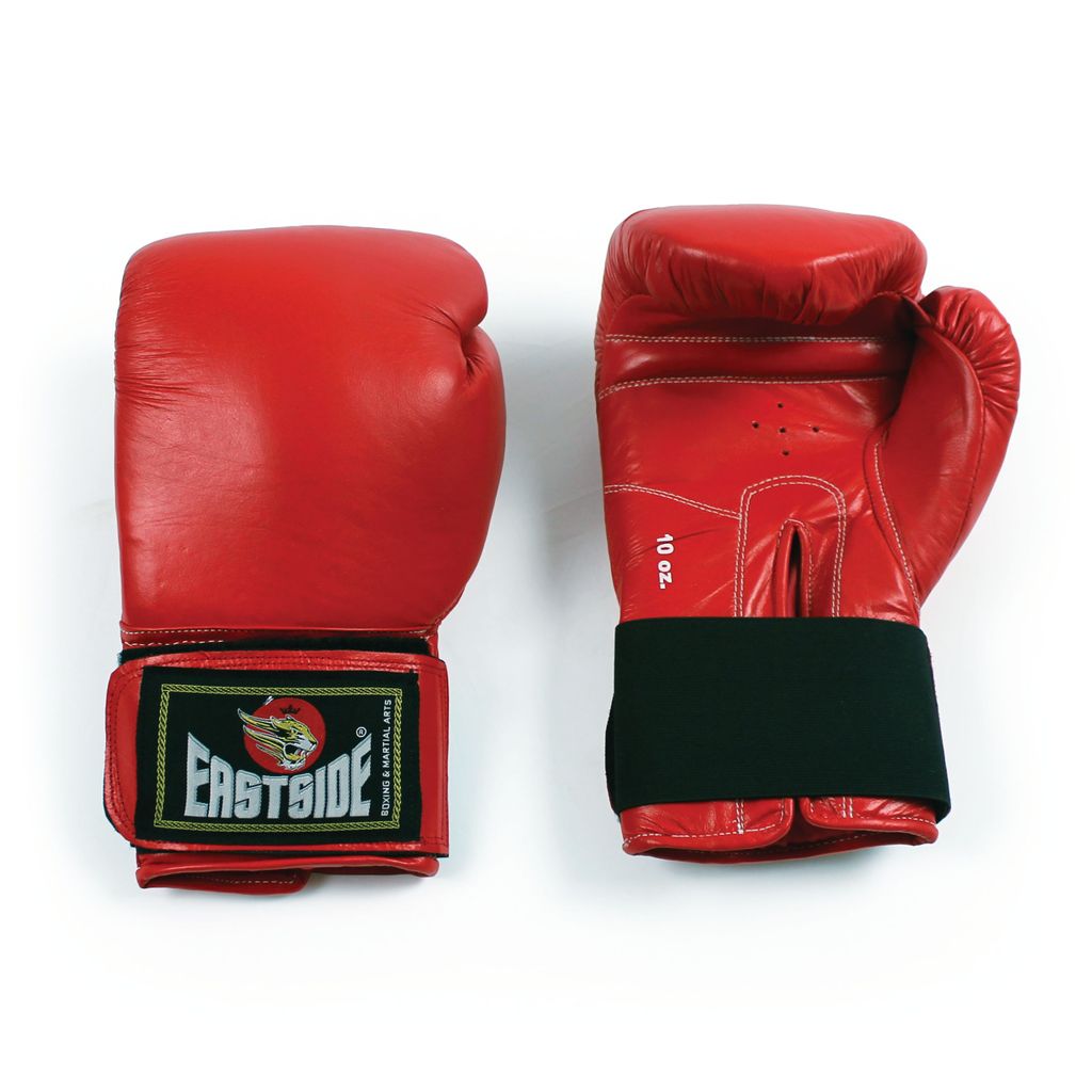 EASTSIDE PRO TRAINING GLOVES