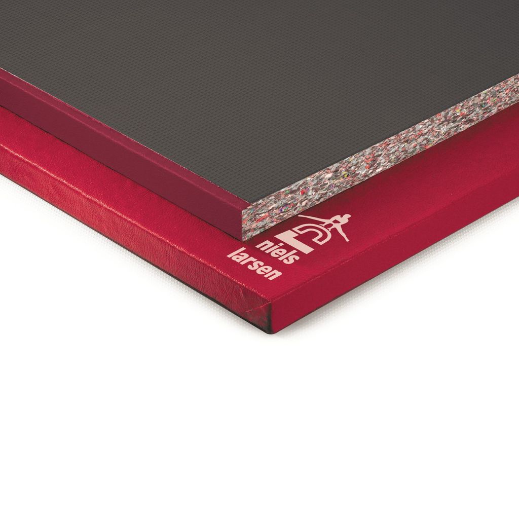 MULTIPURPOSE GYM/JUDO MAT