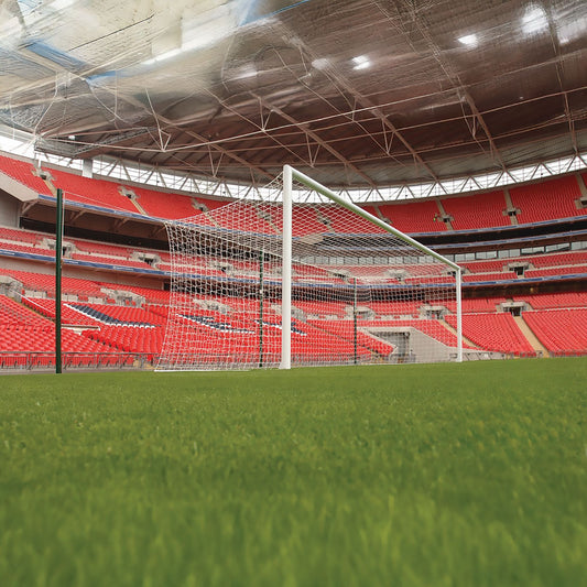 STADIUM GOAL