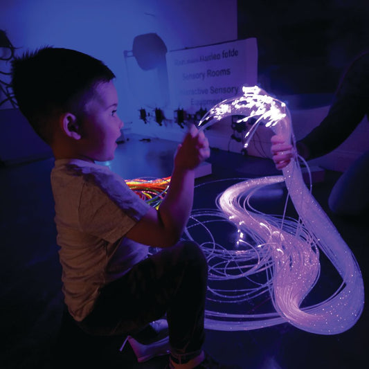 FIBRE OPTIC LIGHT SOURCE AND STRANDS SET