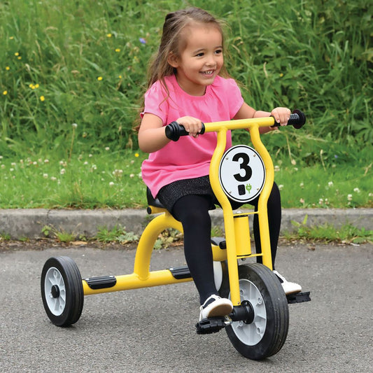 WISDOM TRIKE