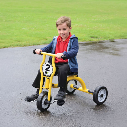 WISDOM TRIKE