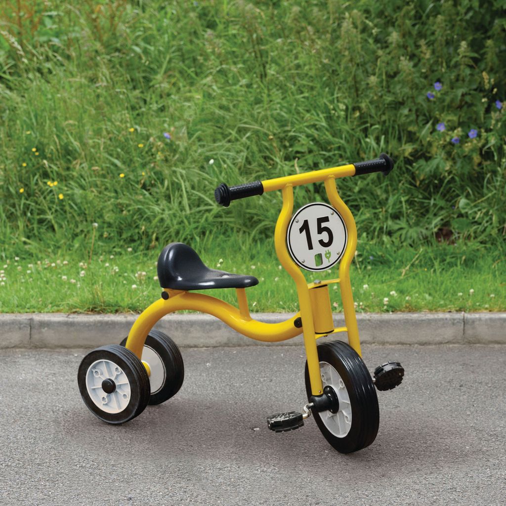 WISDOM TRIKE