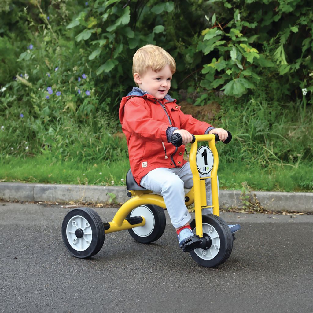 WISDOM TRIKE