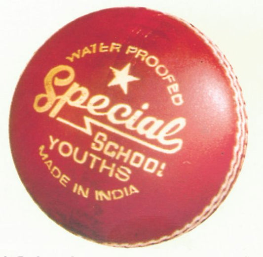 READERS SPECIAL SCHOOL CRICKET BALL