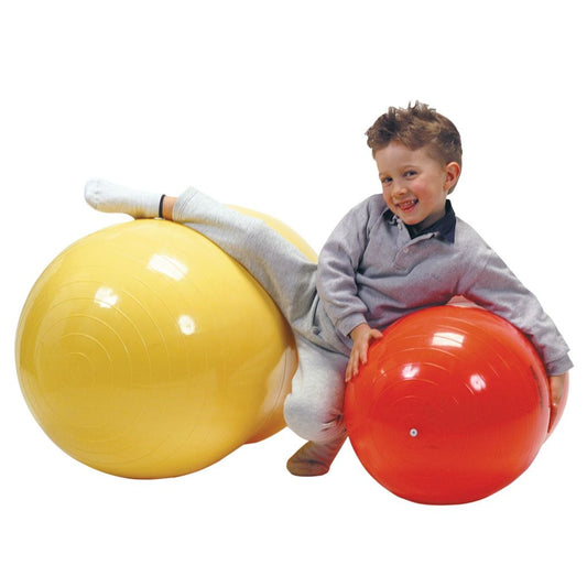 PHYSIO ROLL BALL