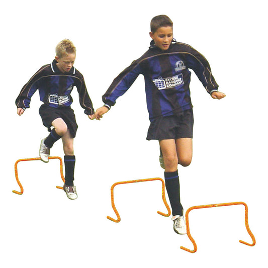 MINI STEP TRAINING HURDLE
